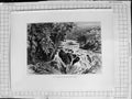 Original Old Antique Print C1900 View Head Swallow Falls River Trees Nature