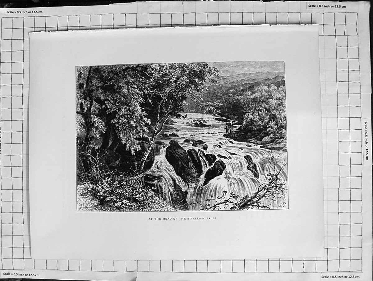Original Old Antique Print C1900 View Head Swallow Falls River Trees Nature