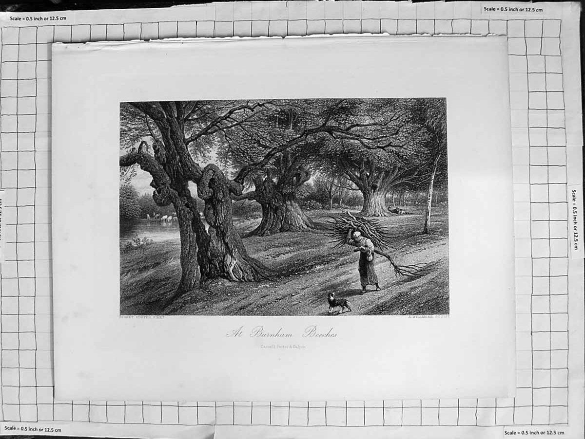 Original Old Antique Print C1900 Scene At Burnham Beeches Birket Willmore 20th