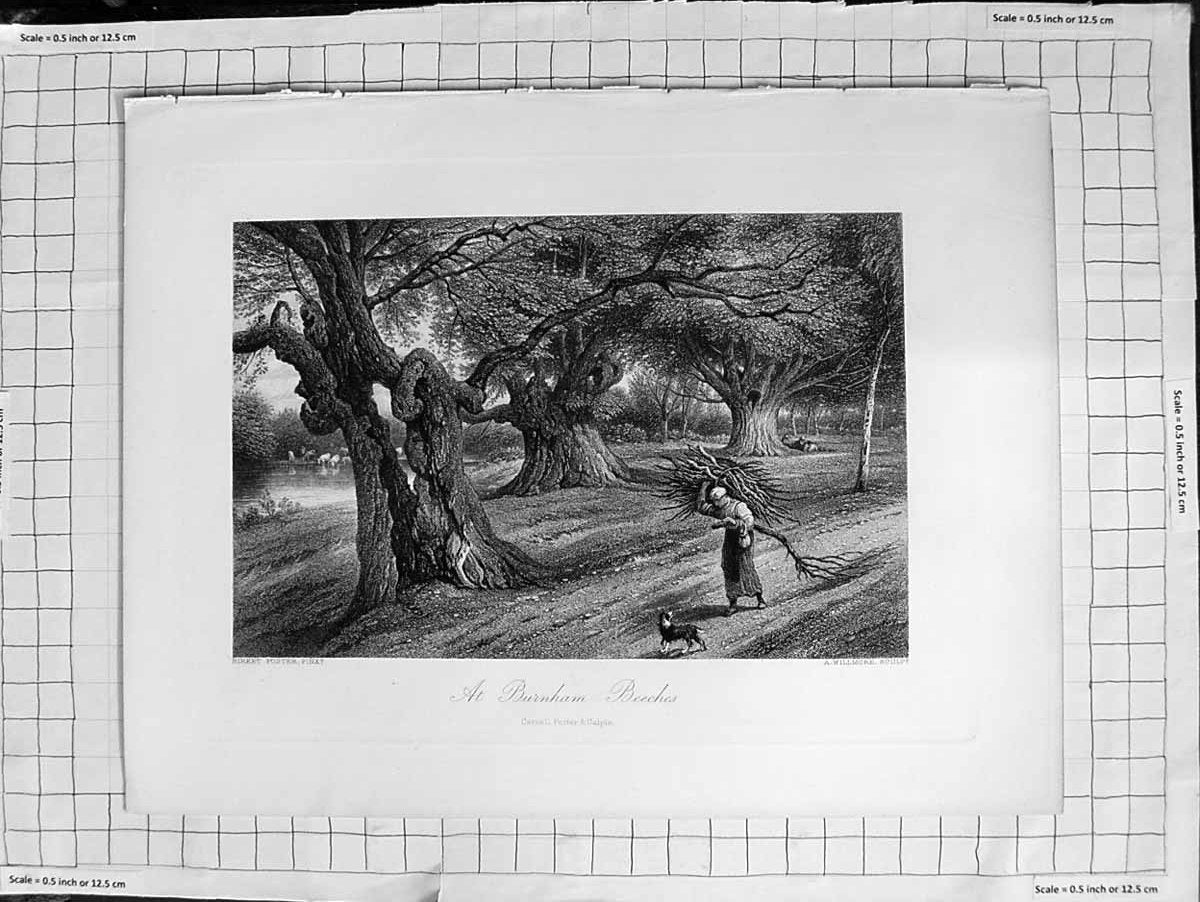 Original Old Antique Print C1900 Scene At Burnham Beeches Willmore Birket 20th