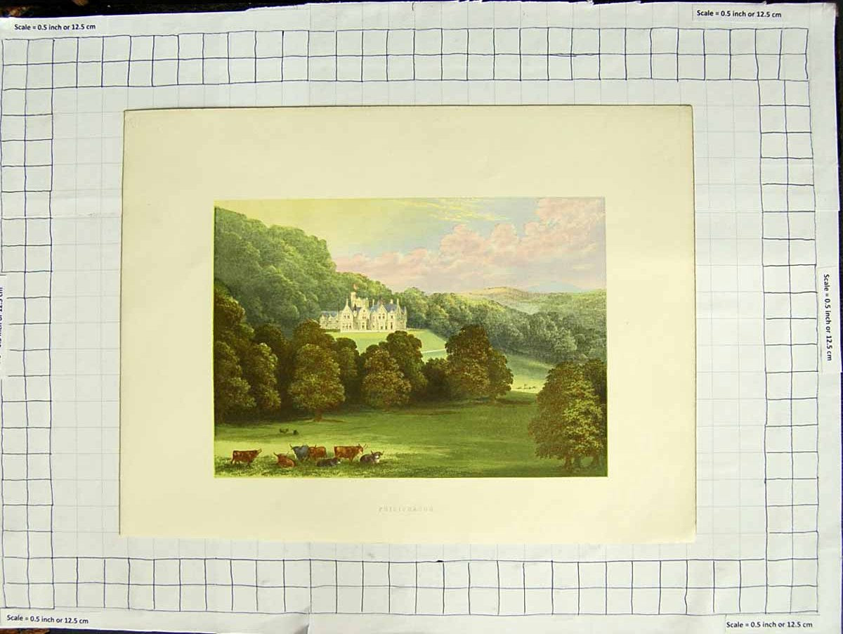 Original Old Antique Print 1880 Colour Plate View Philiphaugh Mansion House