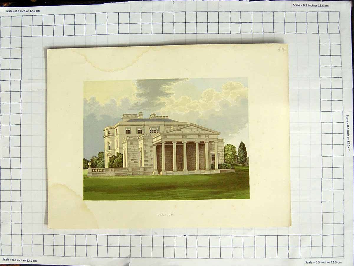 Original Old Antique Print 1880 Colour Plate View Caledon Mansion House Ireland