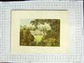 Original Old Antique Print 1880 Colour Plate View Hampton Court Palace Trees