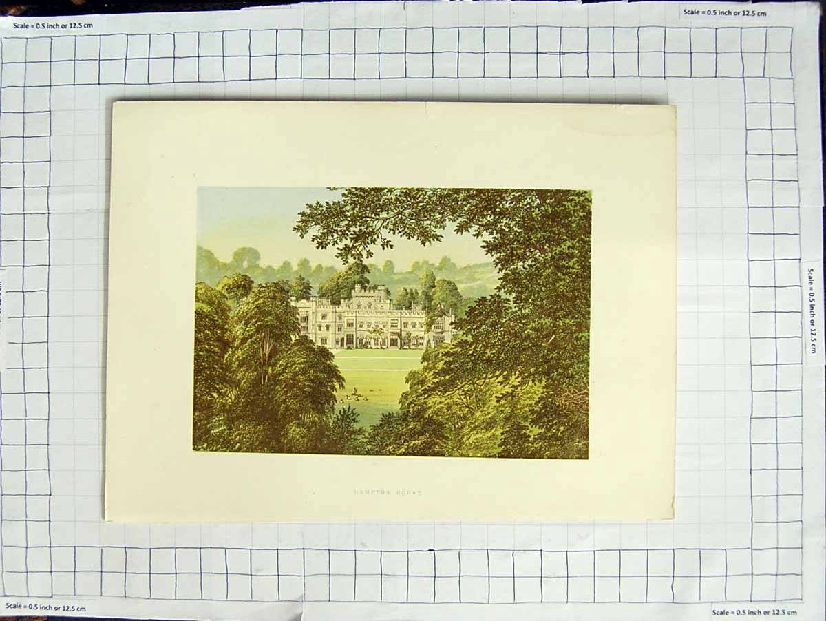 Original Old Antique Print 1880 Colour Plate View Hampton Court Palace Trees