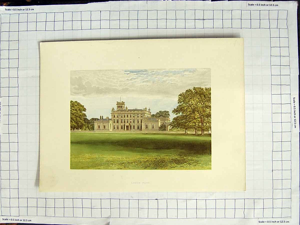 Original Old Antique Print 1880 Colour Plate View Locko Park Garden Derbyshire