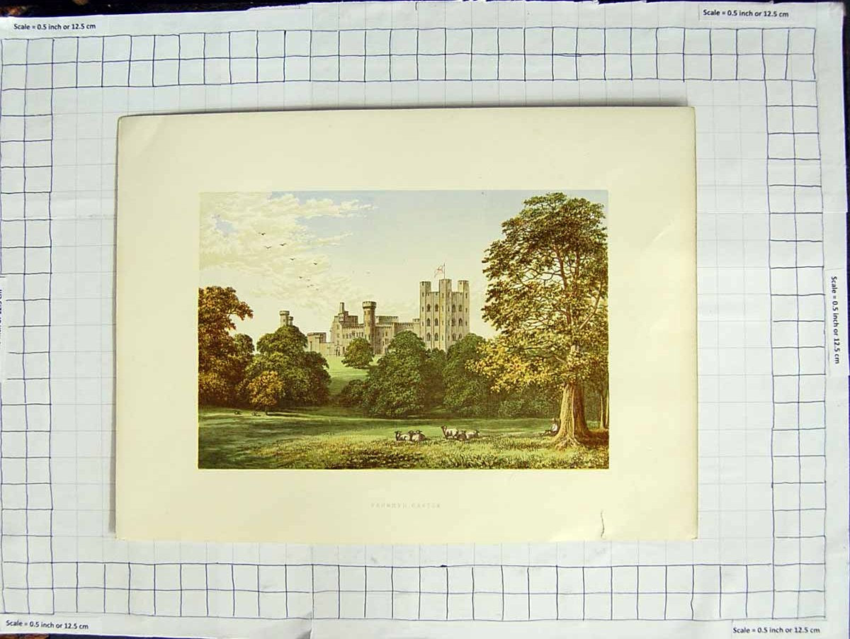 Original Old Antique Print 1880 Colour Plate View Penrhyn Castle Sheep Trees