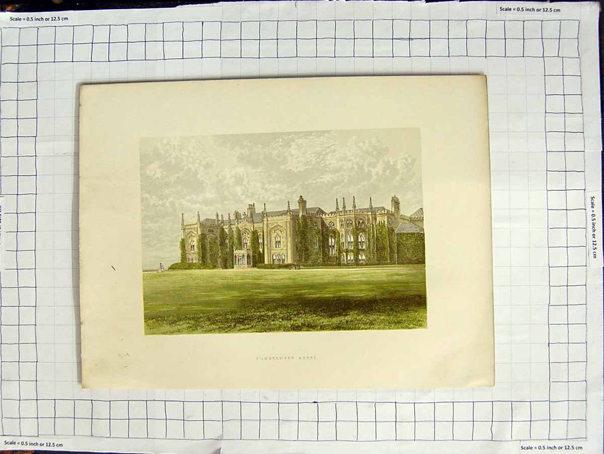 Original Old Antique Print 1880 Colour Plate View Combermere Abbey House Garden