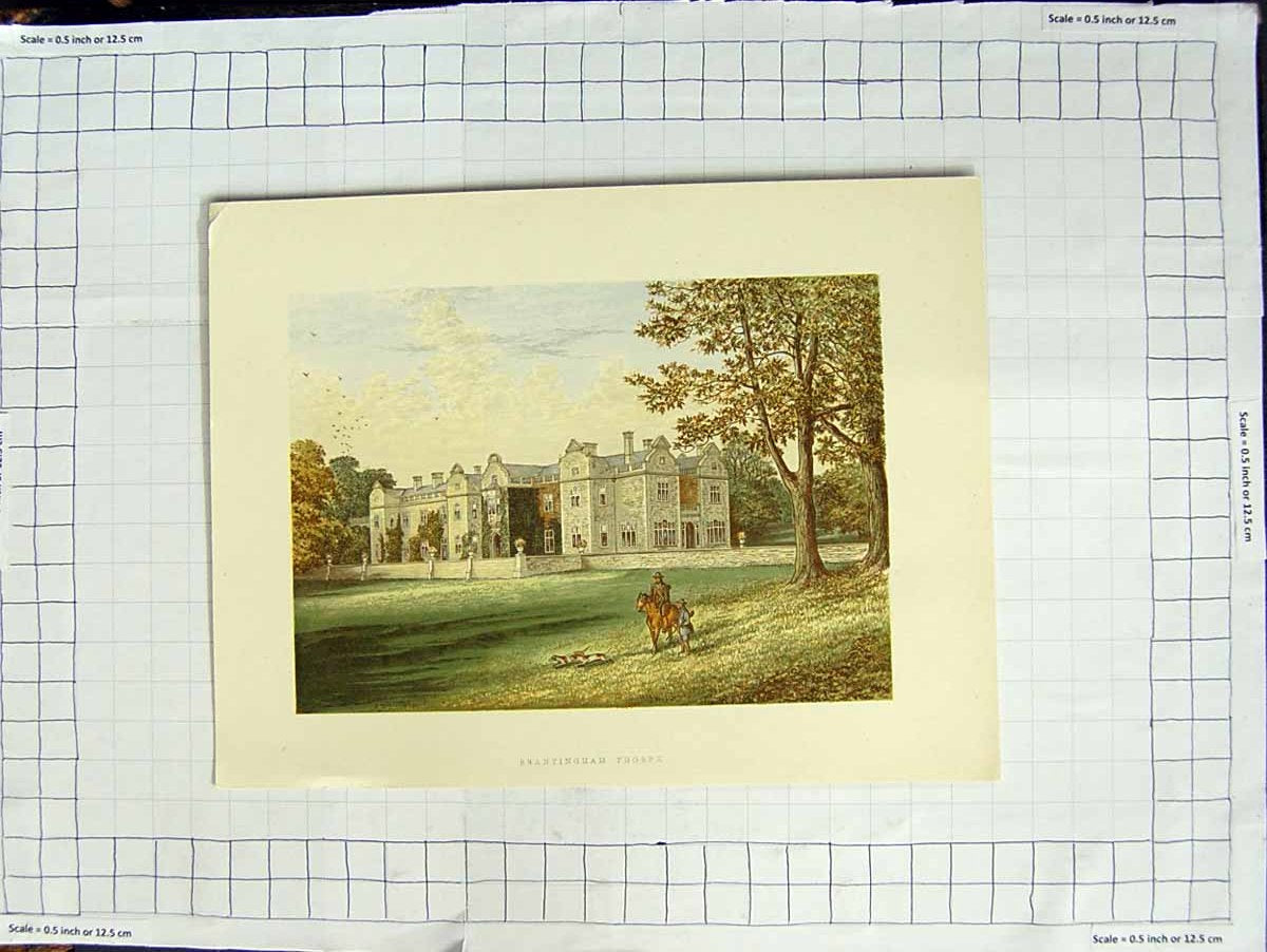 Original Old Antique Print 1880 Colour Plate View Brantingham Thorpe Garden