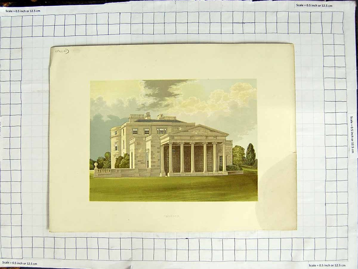 Original Old Antique Print 1880 Colour Plate View Caledon Mansion House Garden
