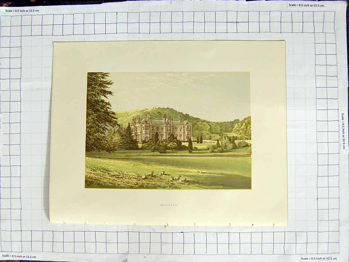 Original Old Antique Print 1880 Colour Plate View Mamhead Newham Baronet 19th