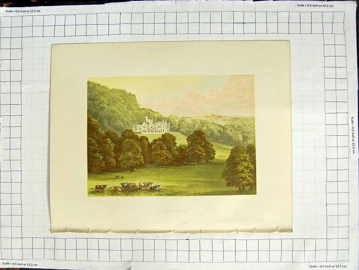 Original Old Antique Print 1880 Colour Plate View Philiphaugh Baronet Murray