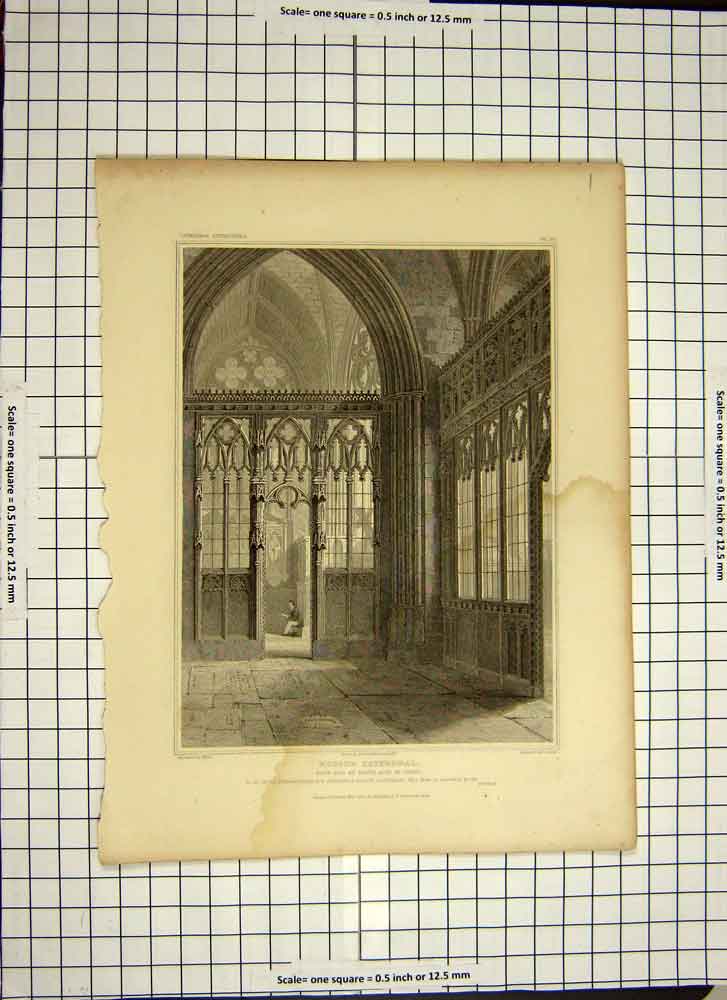 Old Antique Print 1815 Exeter Cathedral South Aisle Choir Parker Fisher 19th