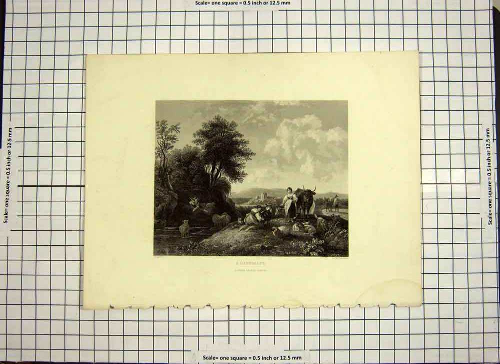 Original Old Antique Print C1790-C1900 Landscape Animals Sheep Cattle Engraving