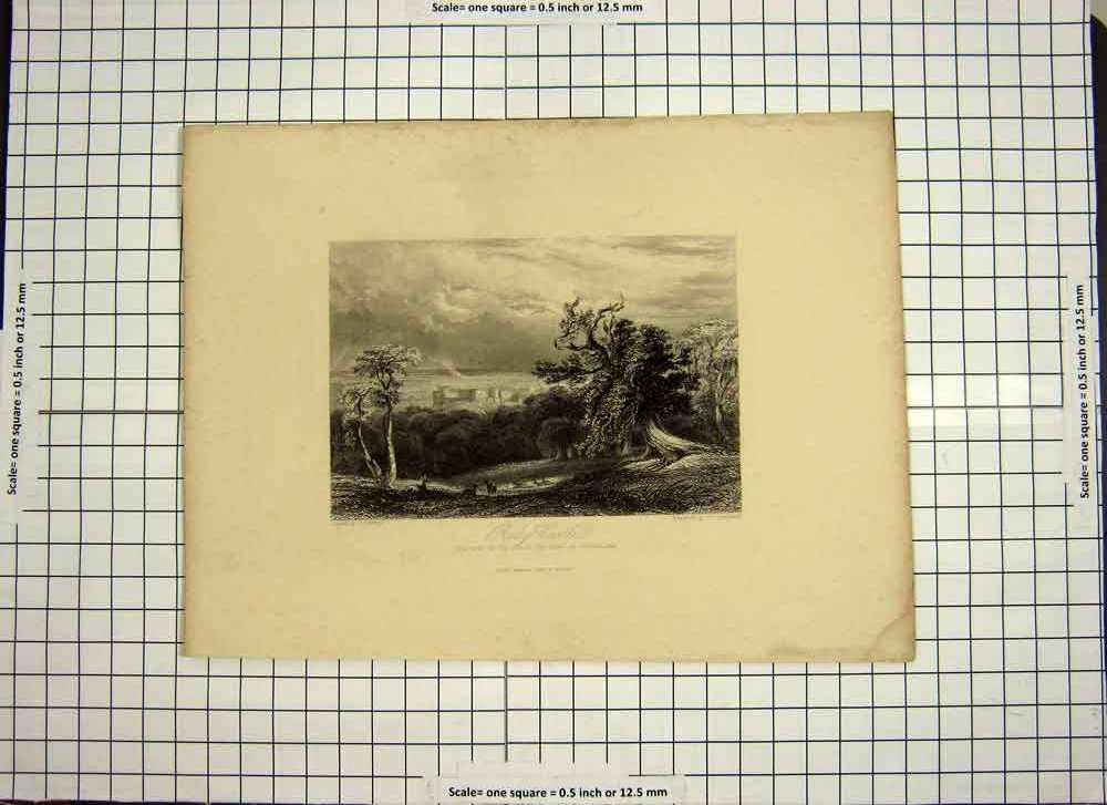 Old Antique Print C1790-C1900 Raby Castle Duke Celveland Trees Engraving 18th