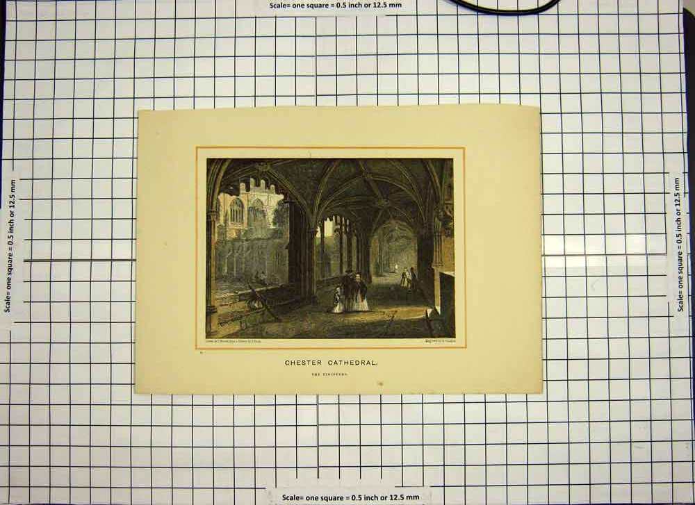 Original Old Antique Print C1790-C1900 Colour Cloisters Chester Cathedral 18th