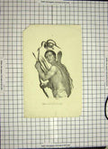 Original Old Antique Print C1790-C1900 Man Bow Arrows Weapons 18th Century