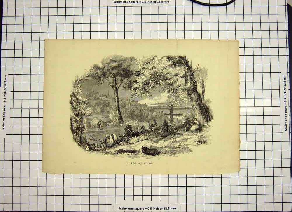 Original Old Antique Print C1790-C1900 View Ryde Town Trees Horse Countryside