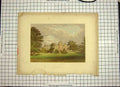 Original Old Antique Print C1790-C1900 Colour Preston Hall Architecture 18th