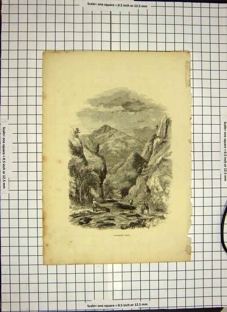 Original Old Antique Print C1790-C1900 View Dove Dale Mountains River Fishing