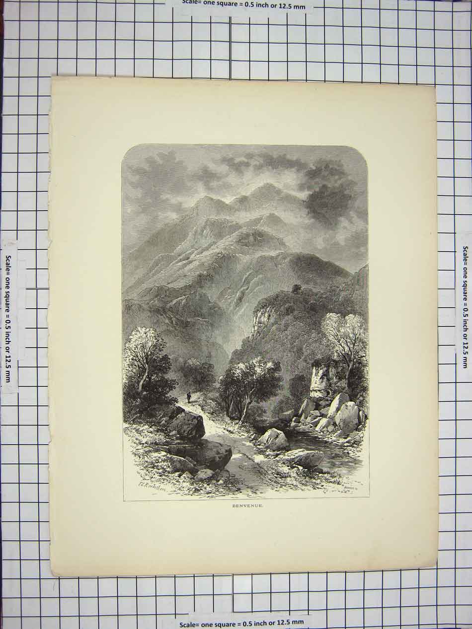 Original Old Antique Print C1790-C1900 View Benvenue Mountains River Rowbotham