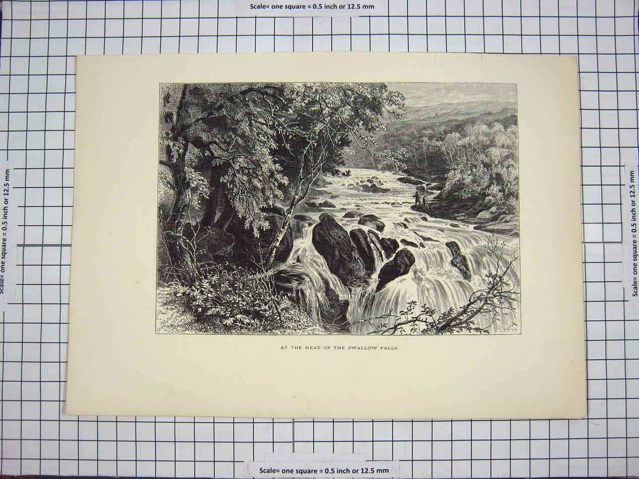 Original Old Antique Print C1790-C1900 River Head Swallow Falls Trees Fishing