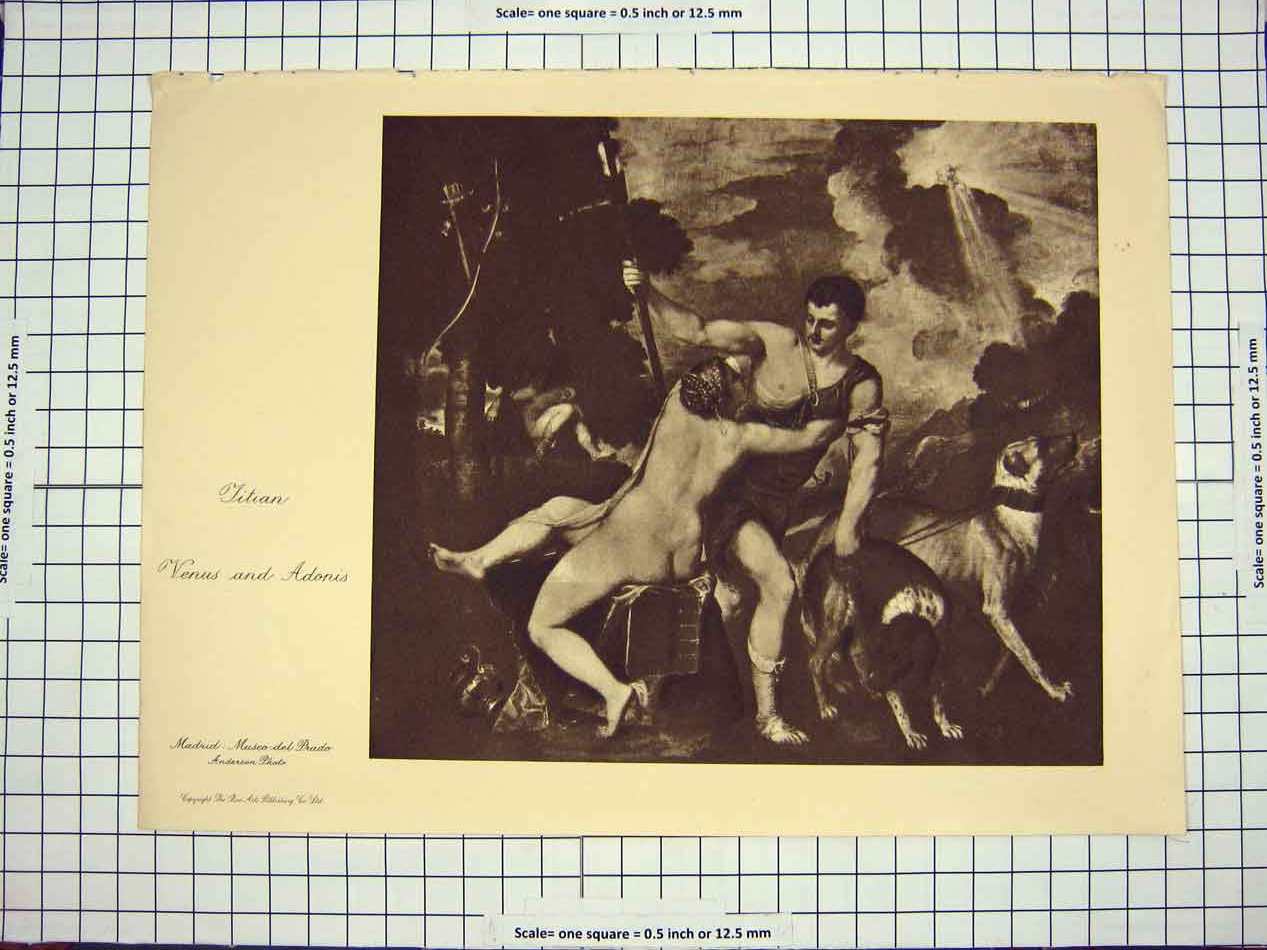 Original Old Antique Print C1790-C1900 Titan Venus Adonis Madrid 18th Century