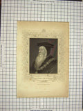 Old Antique Print Ref.548 C1790-C1900 Portrait John Russell Earl Bedford