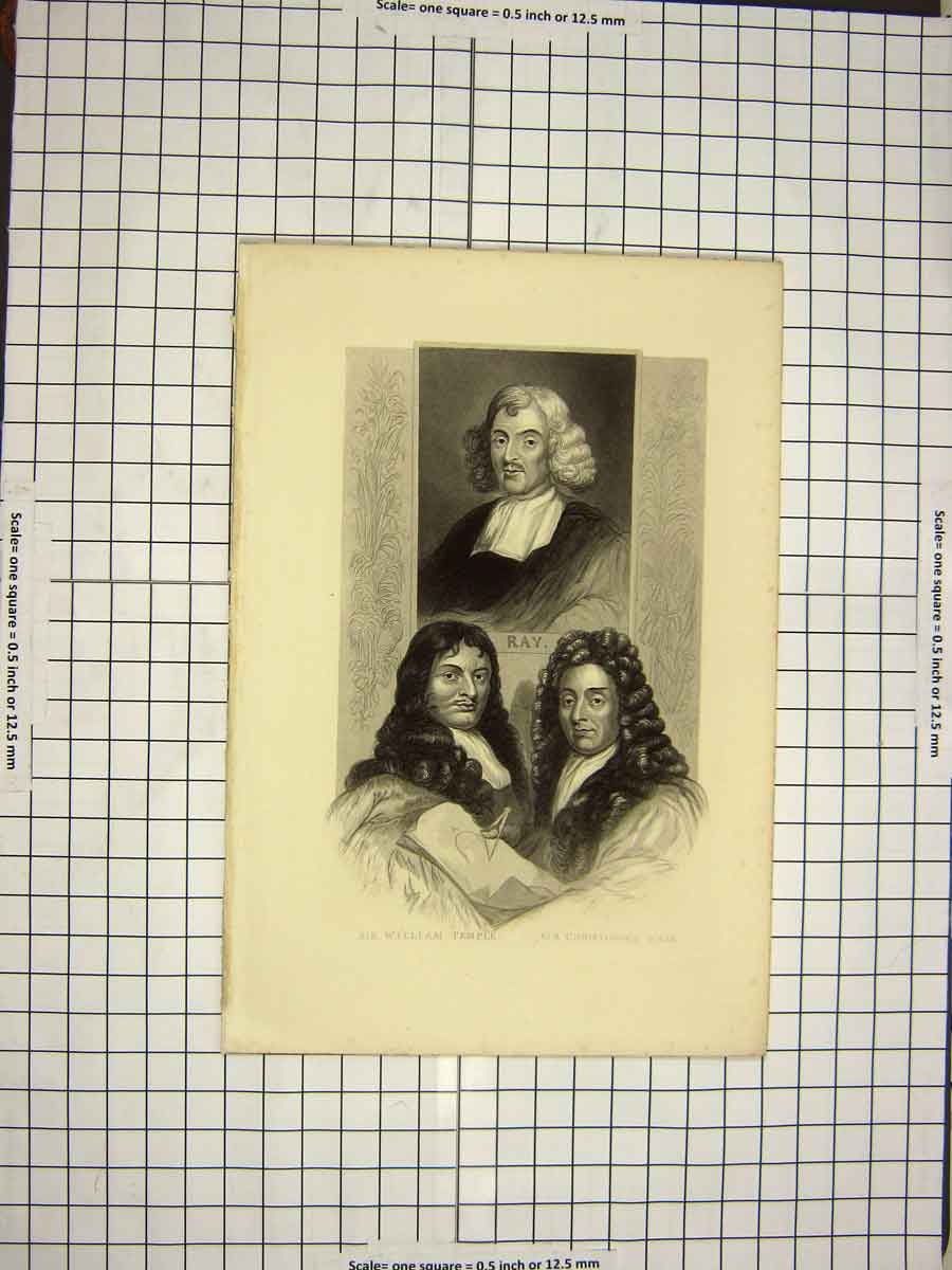 Original Old Antique Print C1790-C1900 Portrait William Temple Christopher Wren