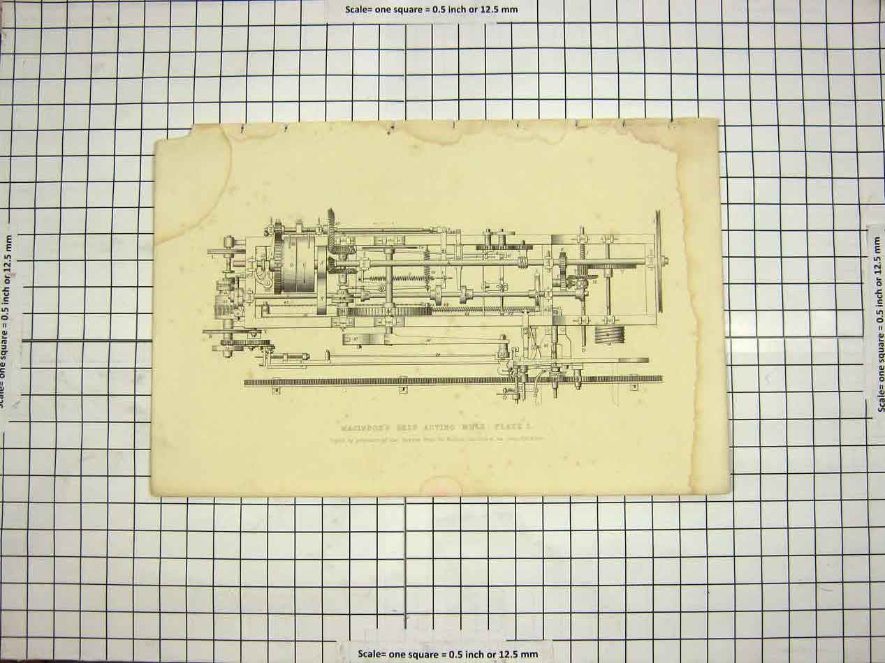 Original Old Antique Print C1800 Encyclopaedia Britannica Macindoe Acting Mule