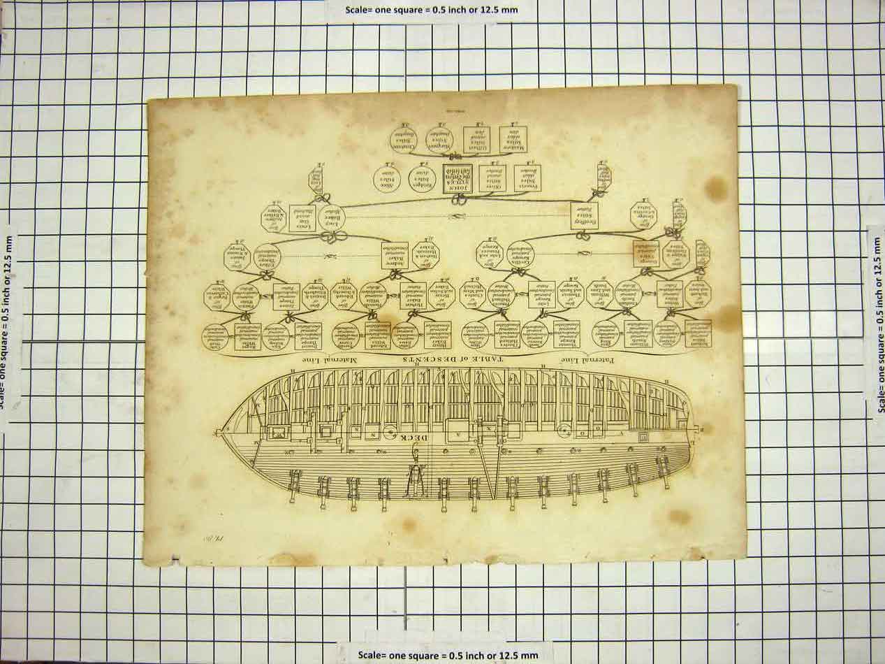 Original Old Antique Print C1800 Encyclopaedia Britannica Ship Deck Family Tree