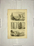 Old Antique Print C1800 Encyclopaedia Britannica Trap Rocks Skye Helena 19th