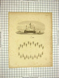 Original Old Antique Print C1800 Encyclopaedia Britannica War Ship 19th Century