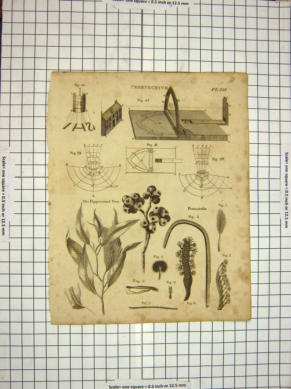 Old Antique Print C1800 Encyclopaedia Britannica Perspective Instruments 19th
