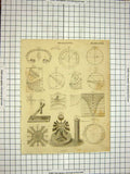 Old Antique Print C1800 Encyclopaedia Britannica Dialling Diagrams Shapes 19th