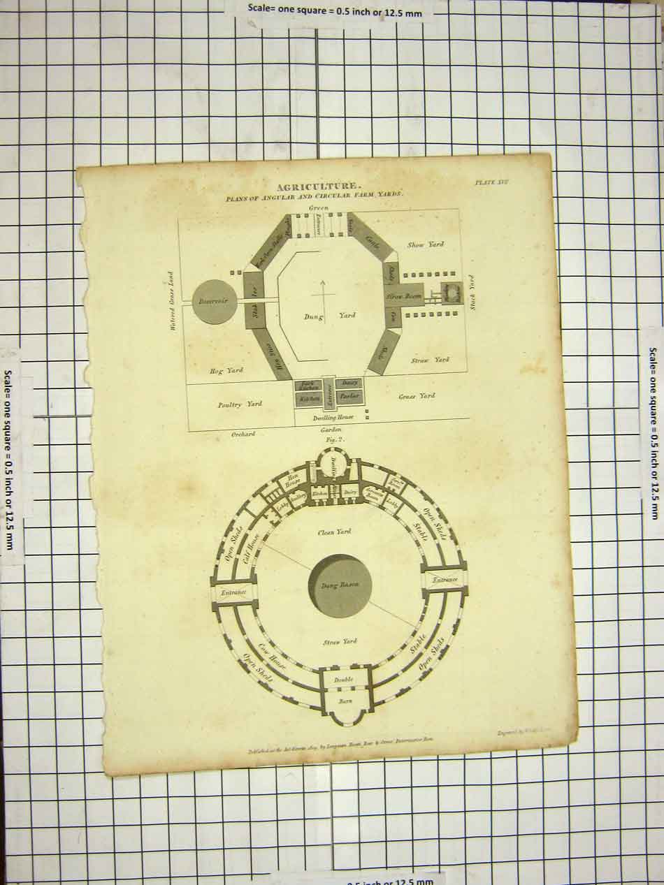 Original Old Antique Print C1800 Encyclopaedia Britannica Agriculture Farm Yard