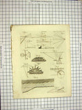 Old Antique Print C1800 Encyclopaedia Britannica Optics Diagram Six Pages 19th