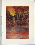 Original Old Antique Print C1790-C1900 View Silent Pool Trees River Colour 18th