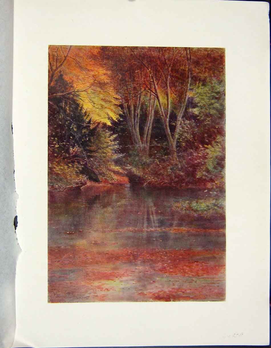 Original Old Antique Print C1790-C1900 View Silent Pool Trees River Colour 18th