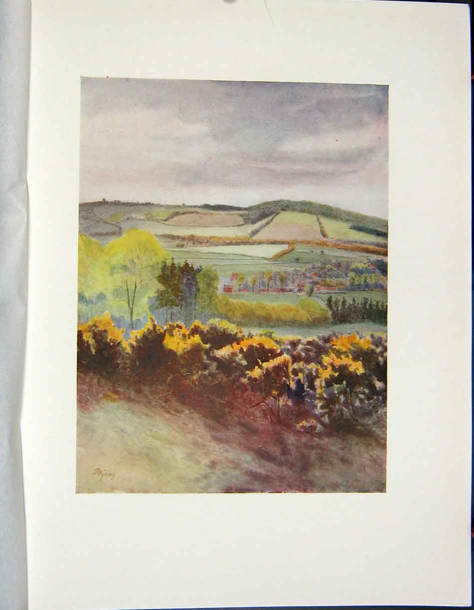 Original Old Antique Print 1913 View Caterham Tilburstow Hill Colour 20th