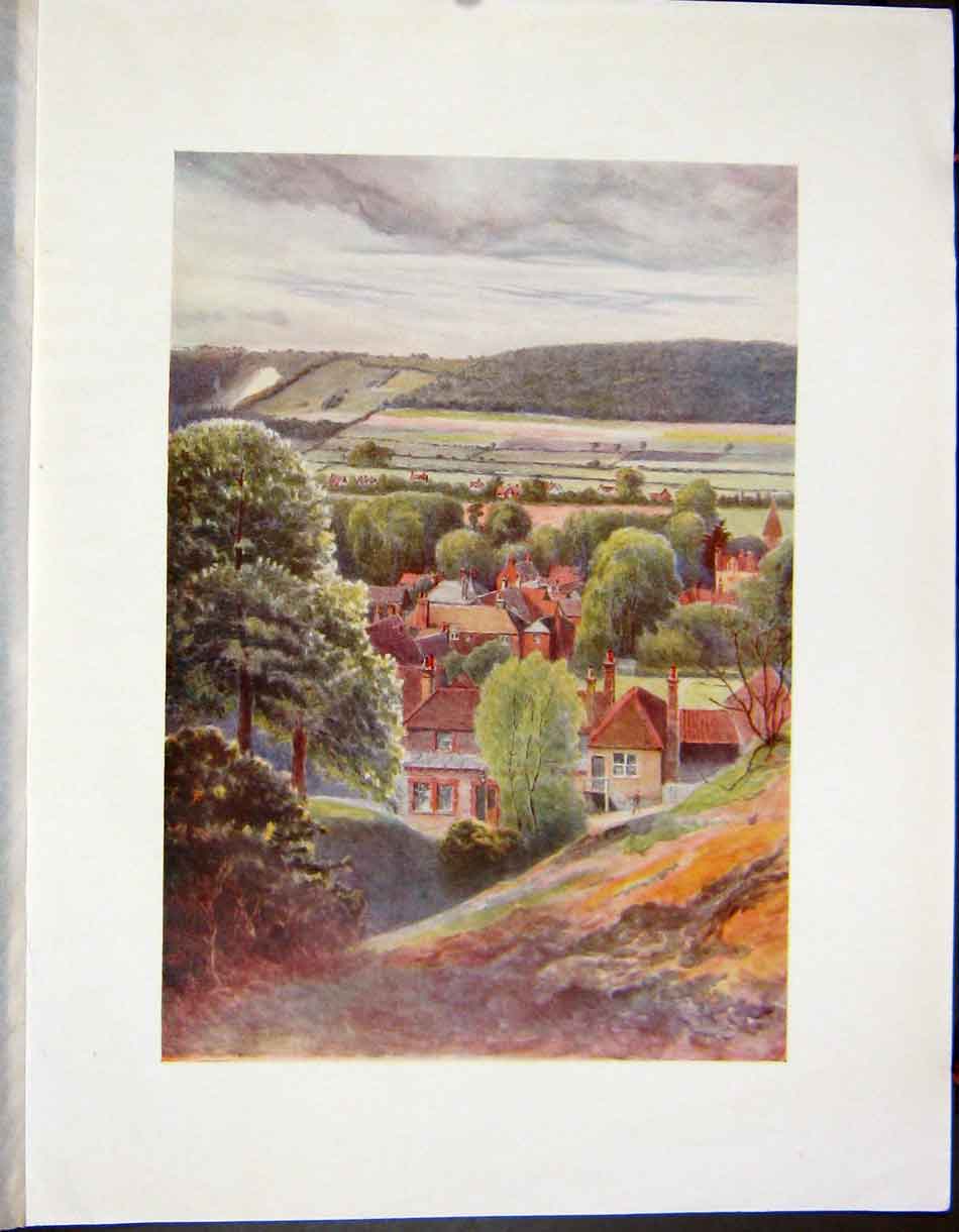 Original Old Antique Print C1790-C1900 Colour View Limsfield Houses Trees 18th