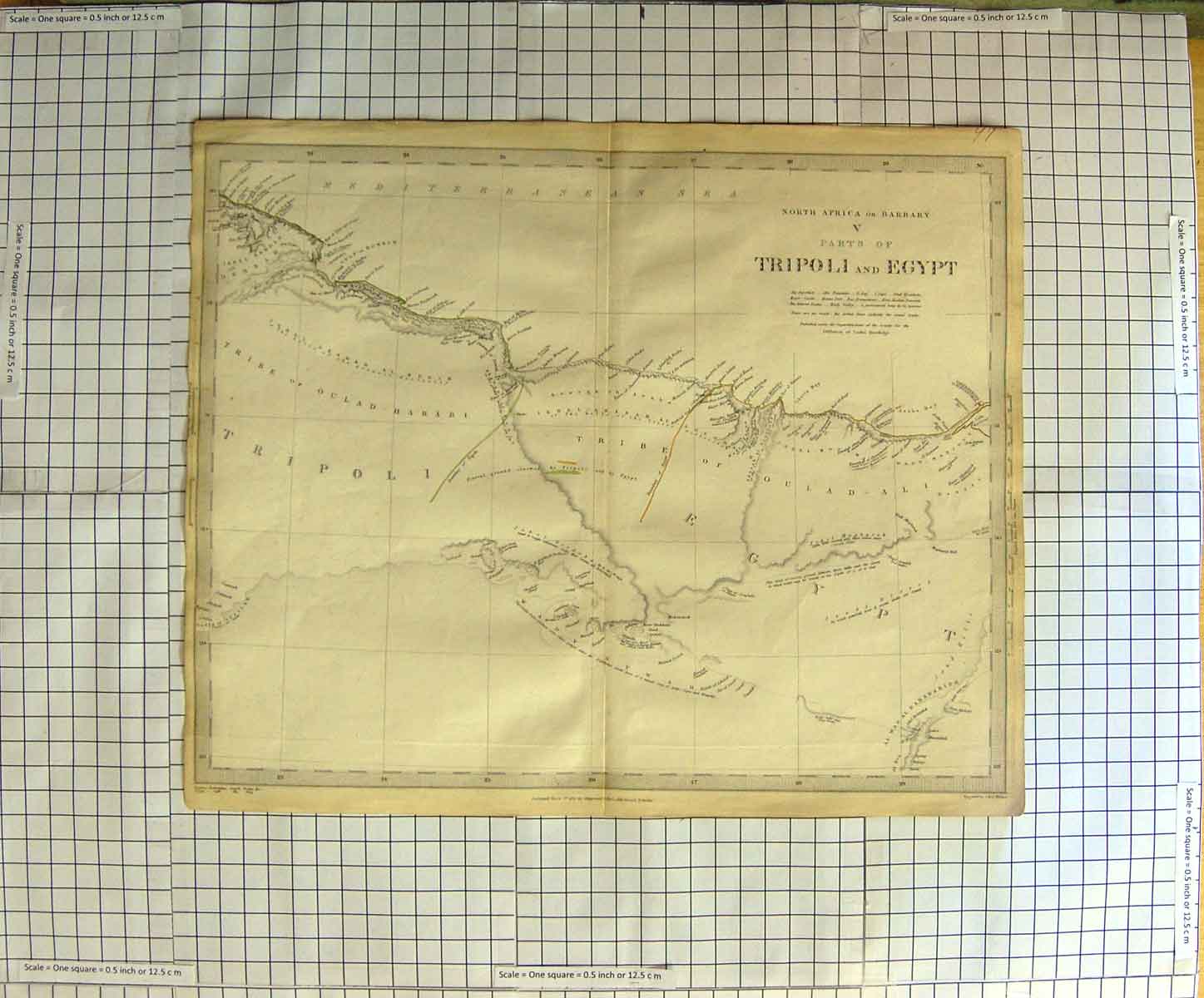 Original Old Antique Print Walker Map 1837 North Africa Tripoli Egypt Victorian