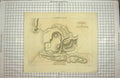Old Antique Print Bacon Map 1894 Newfoundland Nova Scotia Prince Edward 19th
