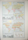 Old Antique Print Black'S Map 1890 Zoological Chart World Plants Animals 19th