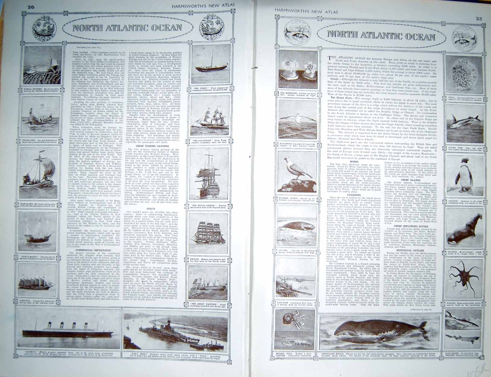 Original Old Vintage Print Map 1922 North Atlantic Ocean Whale Octopus Nature