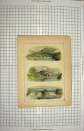 Original Old Antique Print Trading Post River Aux Rats Maurice Grand Mere Boats
