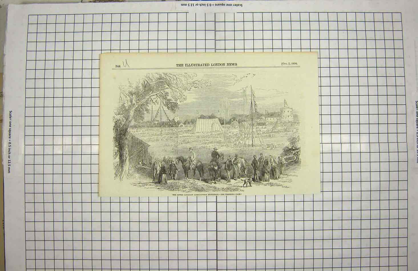 Original Old Antique Print 1854 Lower Canadian Agricultural Exhibition Horses