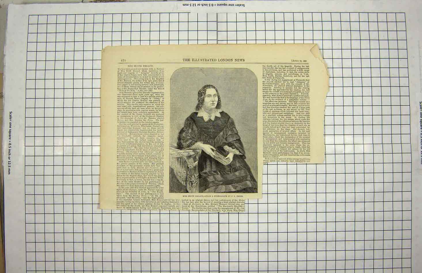 Original Old Antique Print 1859 Portrait Miss Edith Haraud Lady 19th
