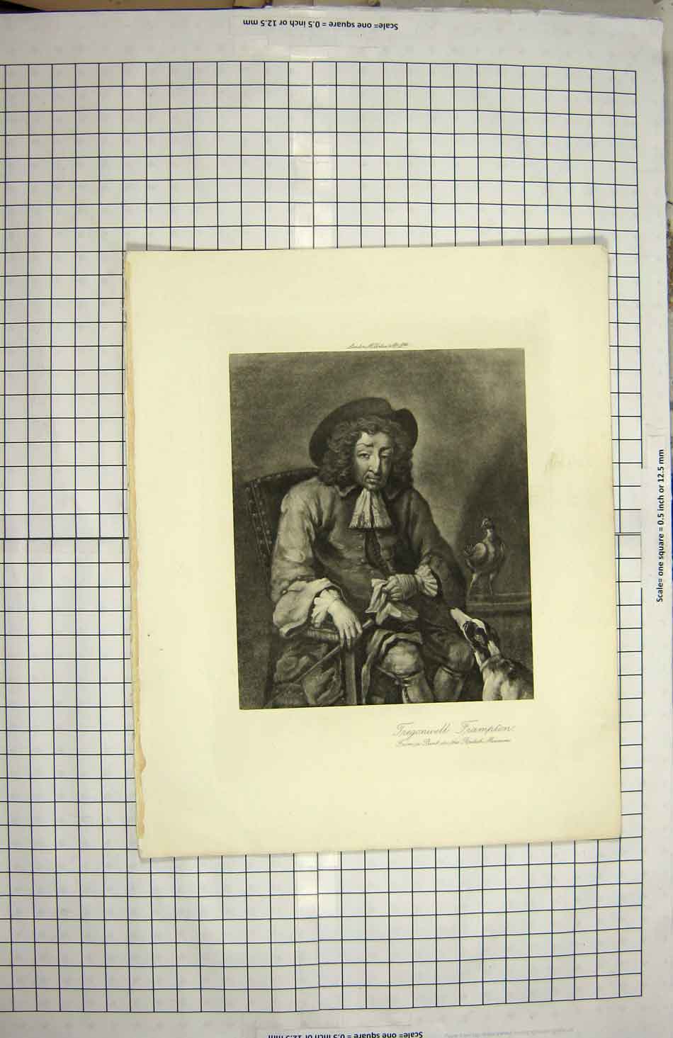 Original Old Antique Print Portrait Tregonwell Frampton British Museum 20th