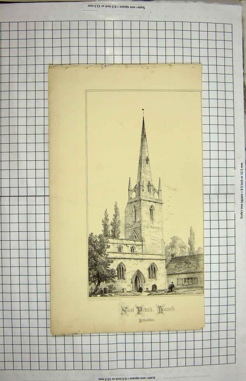 Original Old Antique Print Architecture Saint Peters Church Bedfordshire