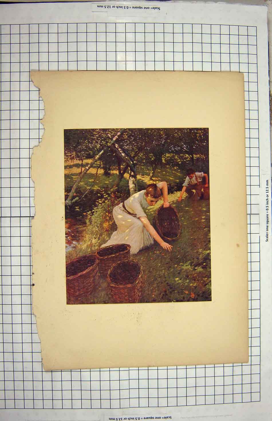 Original Old Antique Print Colour Agriculture Pickers Baskets